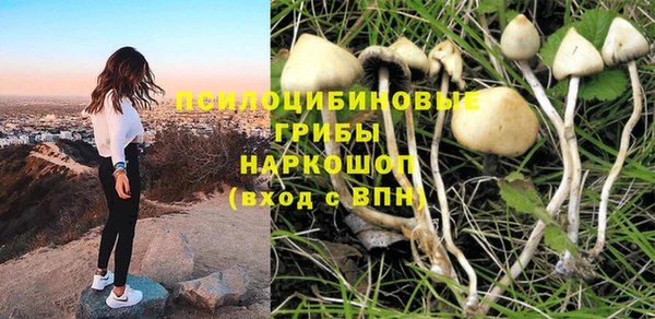 кристаллы Богородск