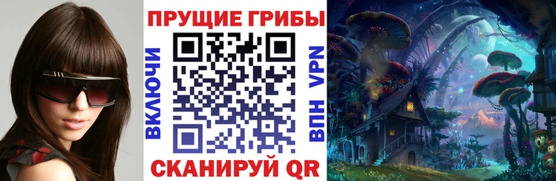 Галлюциногенные грибы Magic Shrooms  KRAKEN ССЫЛКА  Тобольск 